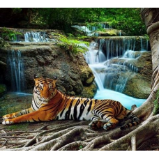 Фотообои Тигр у Водопада Панно Дивино Декор,  В1-074 (300х270см)