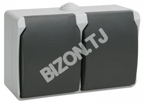 Розетка 2мест с з/к для открытой установки ФОРС IP54 IEK