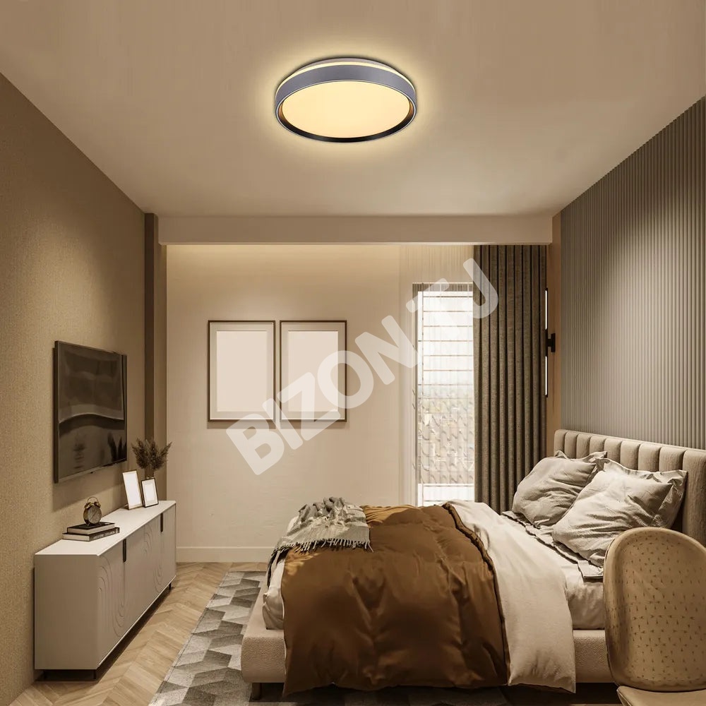 Светильник LED потолочный Светильник LUCE-400 30Wx2 серебристый черный D, 165-16010 4
