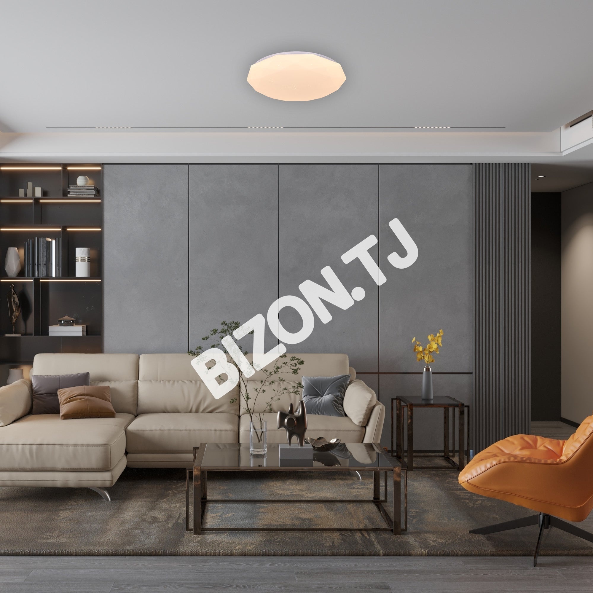 Светильник LED OREGANO 24 Вт 6000 К, 118-03371 14
