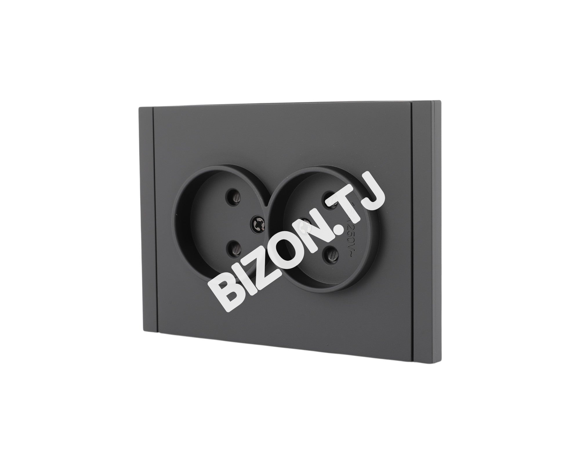 Розетка 2-я 2pin б / з, с / у, Черная, серия NIZMO, ELECTRIC 84 / 7, 283-03518 3