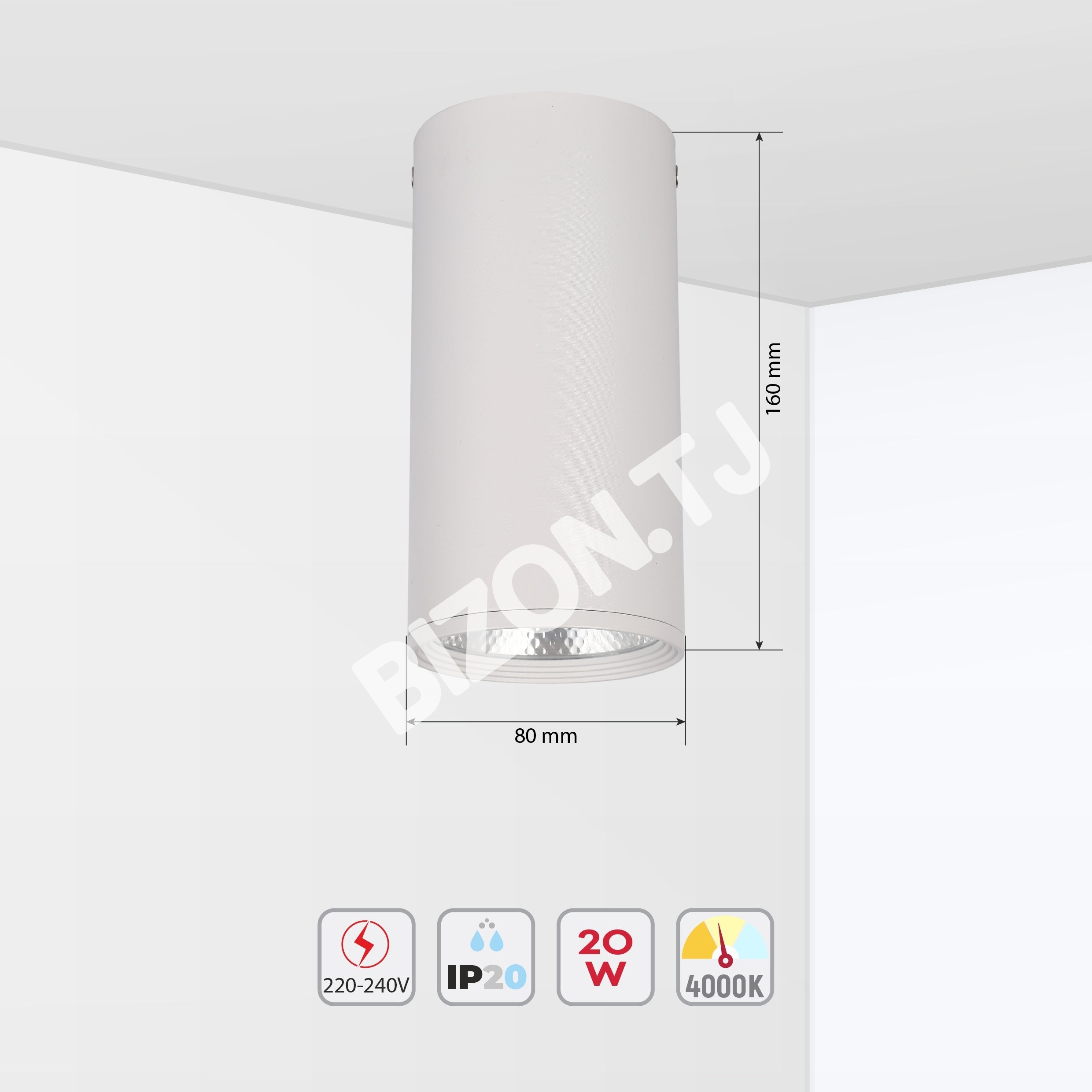 Светильник LED MOND COB 20 Вт 4000 К WH, 172-03010 5