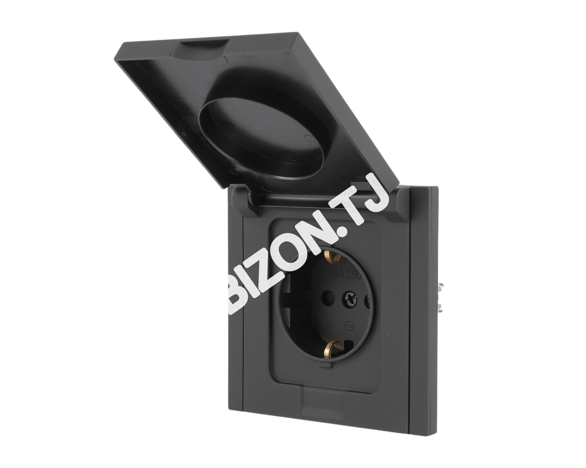 Розетка sс крышкой, с / у, Темно-серая, серия NIZMO, ELECTRIC 120 / 10, 283-03570 7