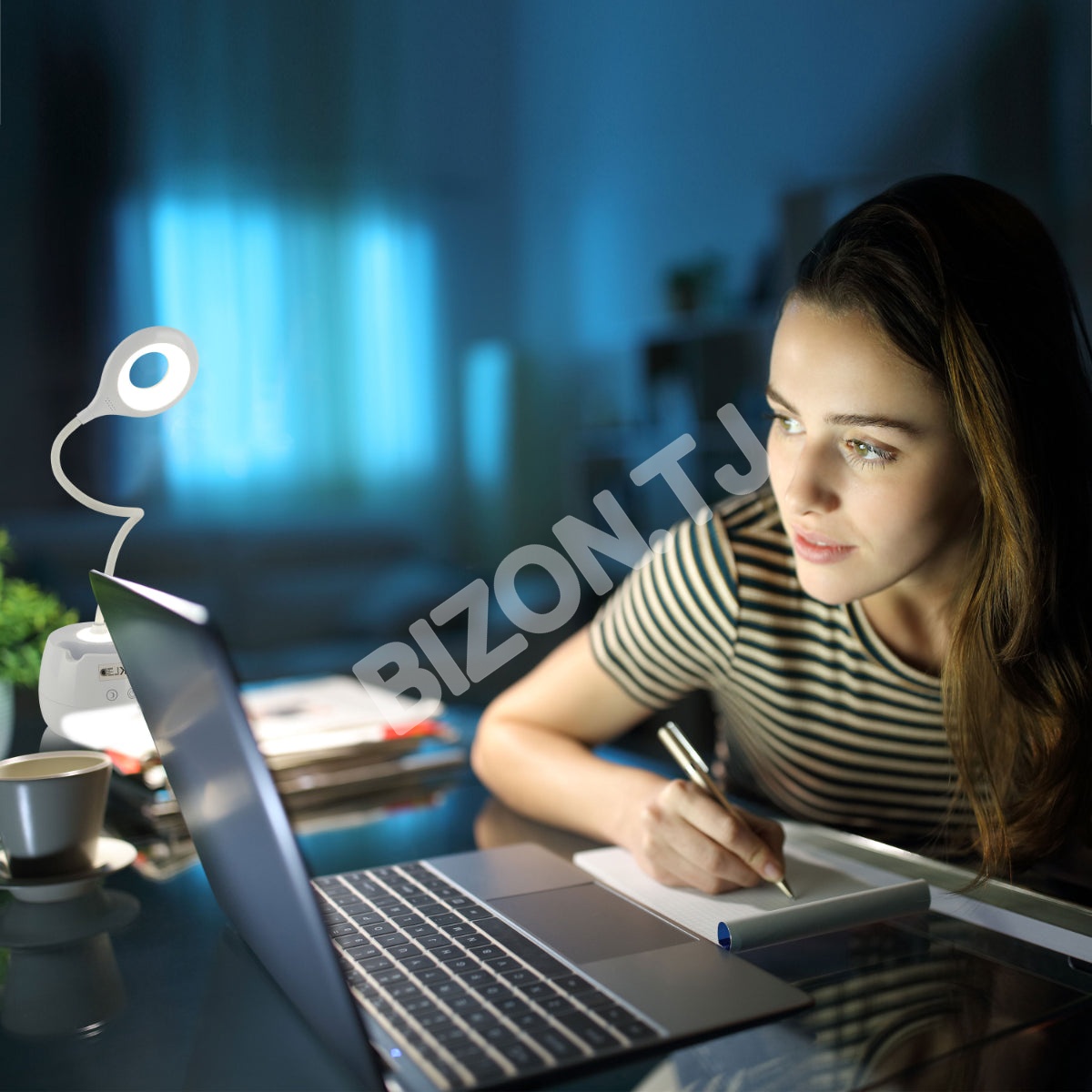 Portable LED Desk светильник с Pen Box USB Charging Three-Step Dimming с Flexible Arm Cool белый 6 Вт 3000 К / 4000 К / 6000 К, 130-03760