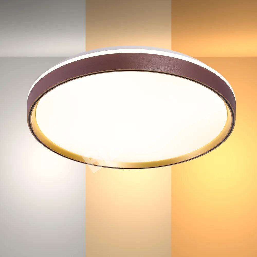 Светильник LED потолочный Светильник LUCE-500 40Wx2 фиолетовый золотой D50, 165-16013