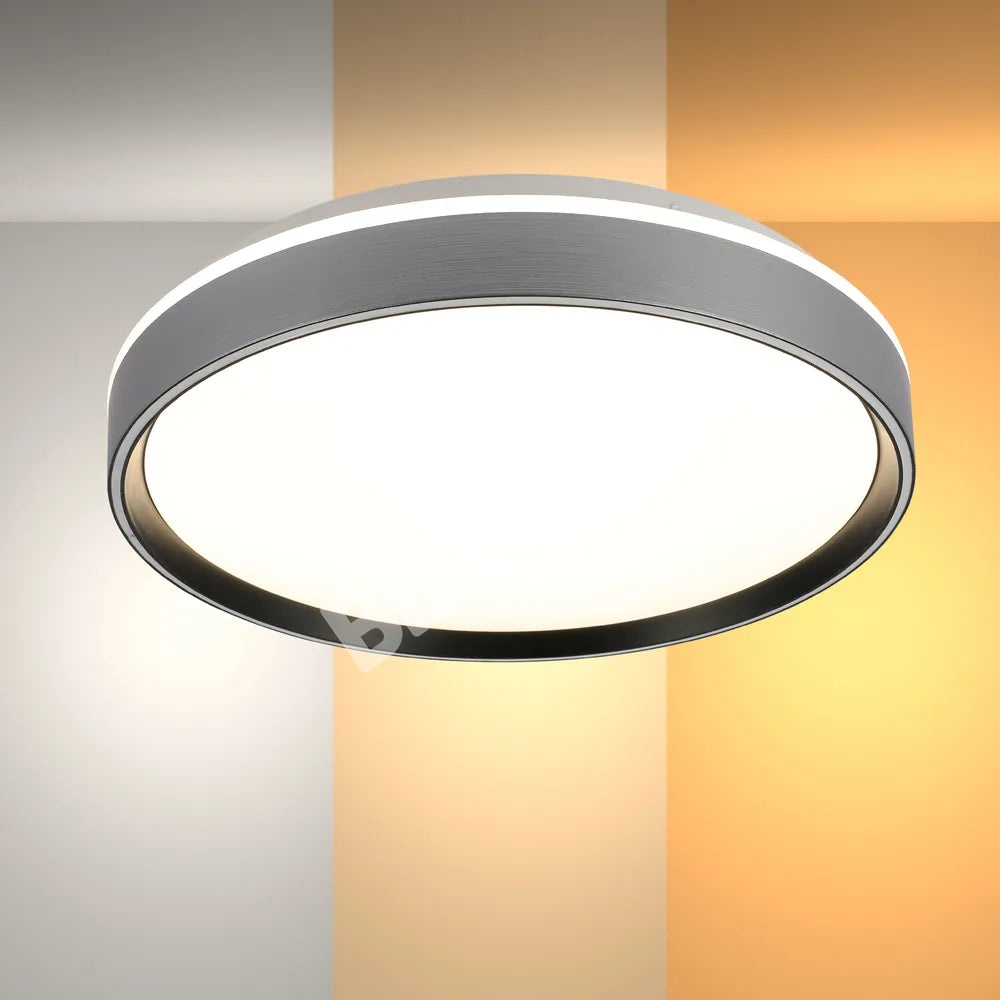 Светильник LED потолочный Светильник LUCE-400 30Wx2 серебристый черный D, 165-16010