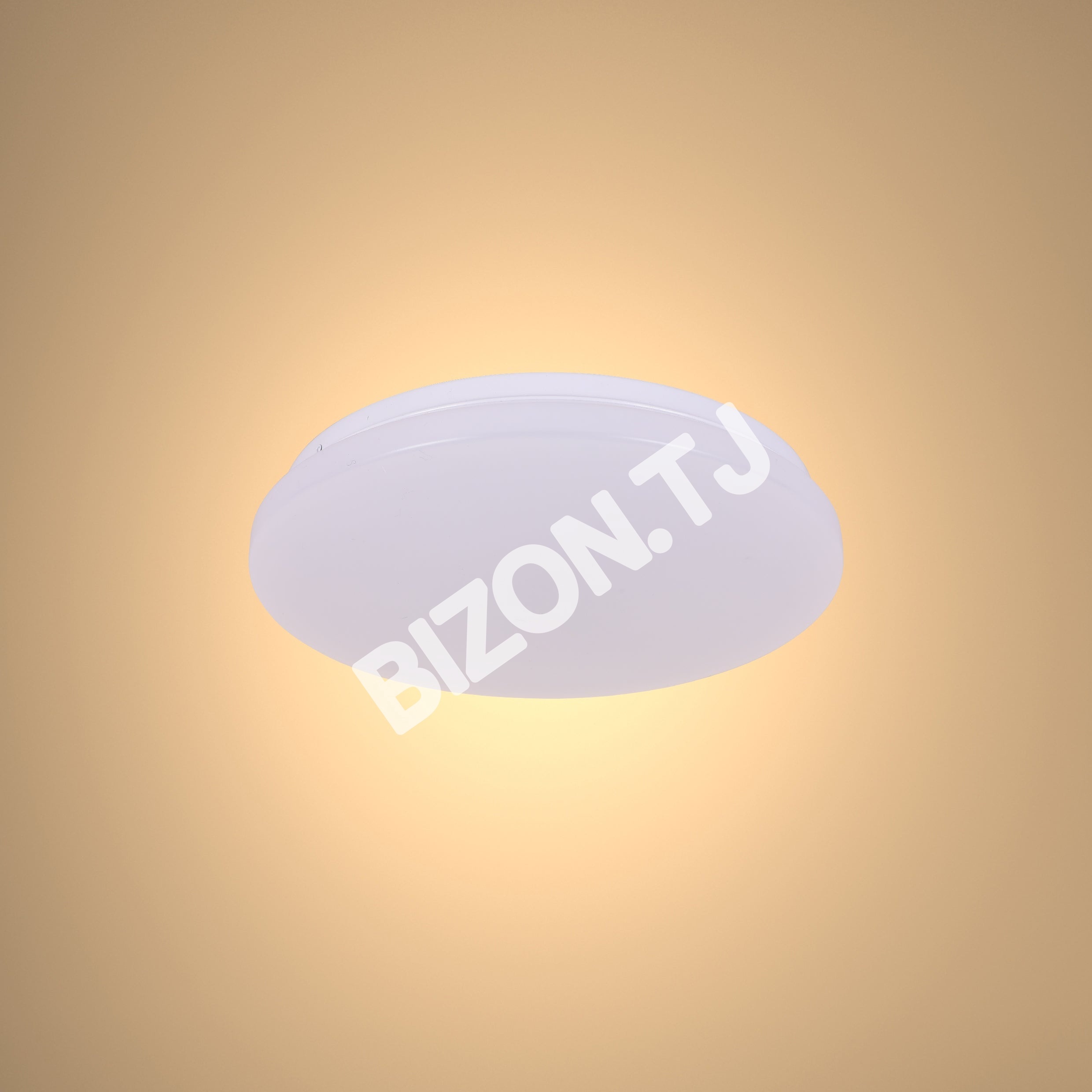 Светильник LED BELLA 48 Вт 6000 К, 118-033590 8