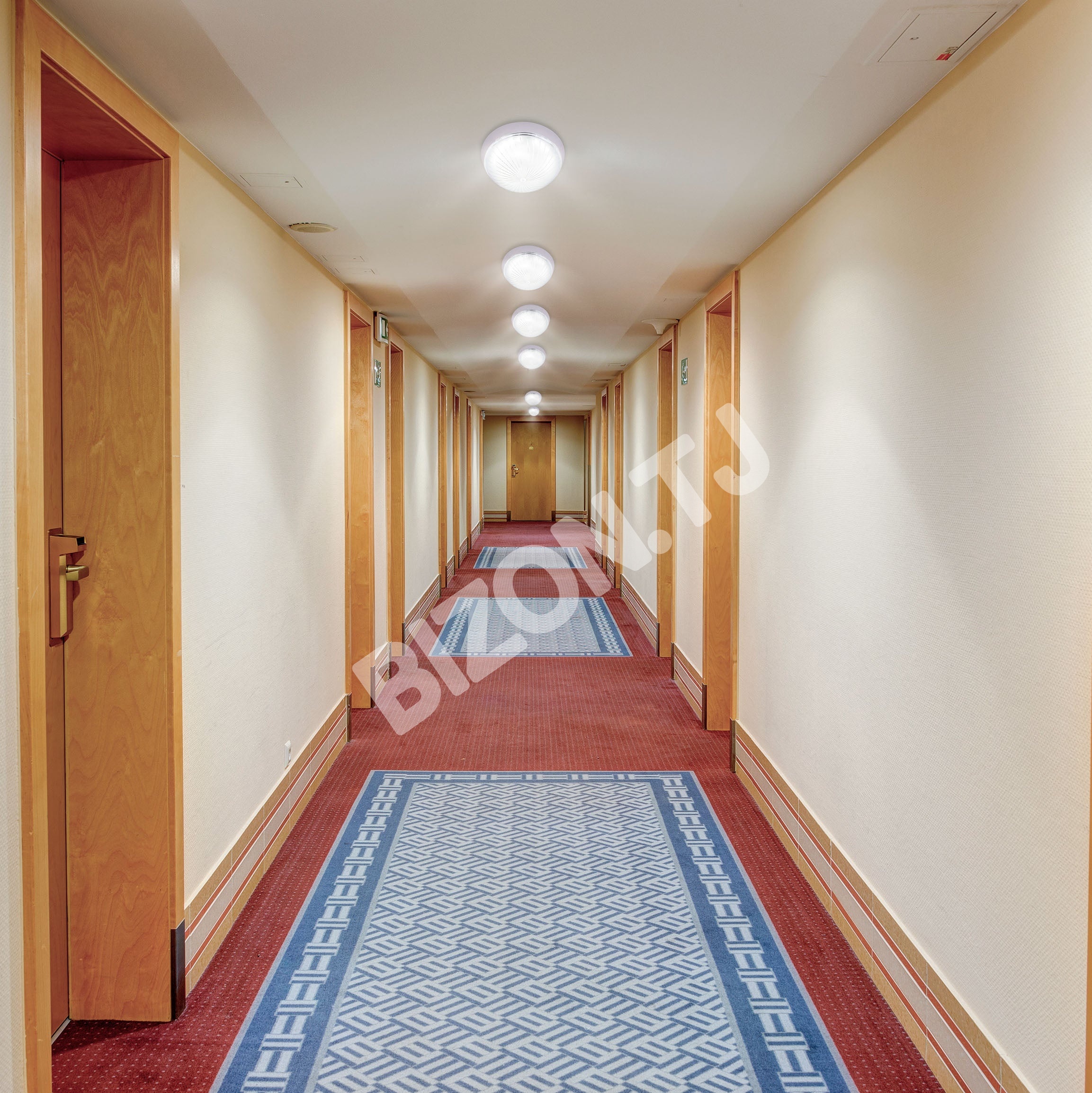 Светильник AKASYA STANDART E27 230 мм MEGALUX, 122-15795 5