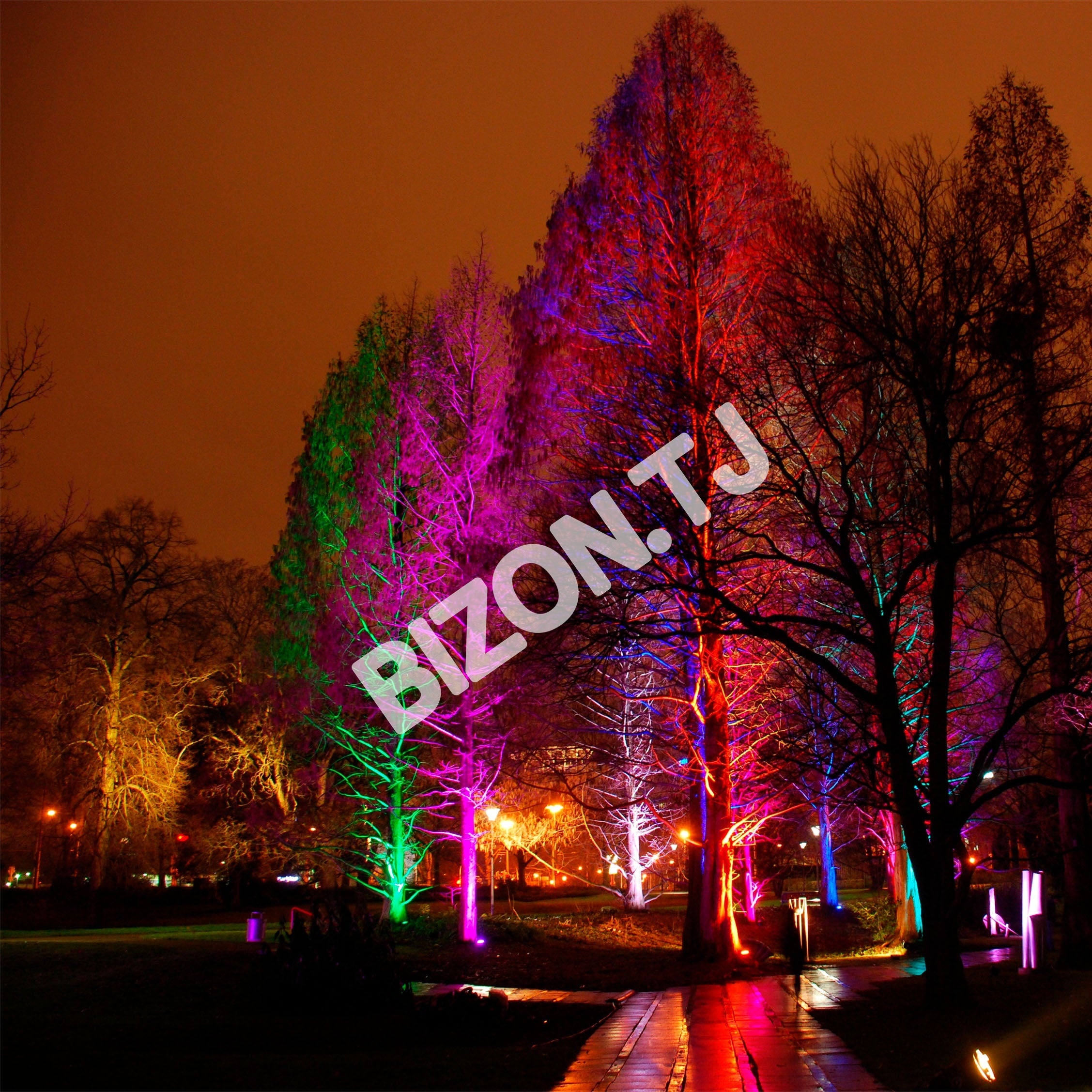 Прожектор LED DOB 50 Вт RGB черный IP65, 224-152838 4
