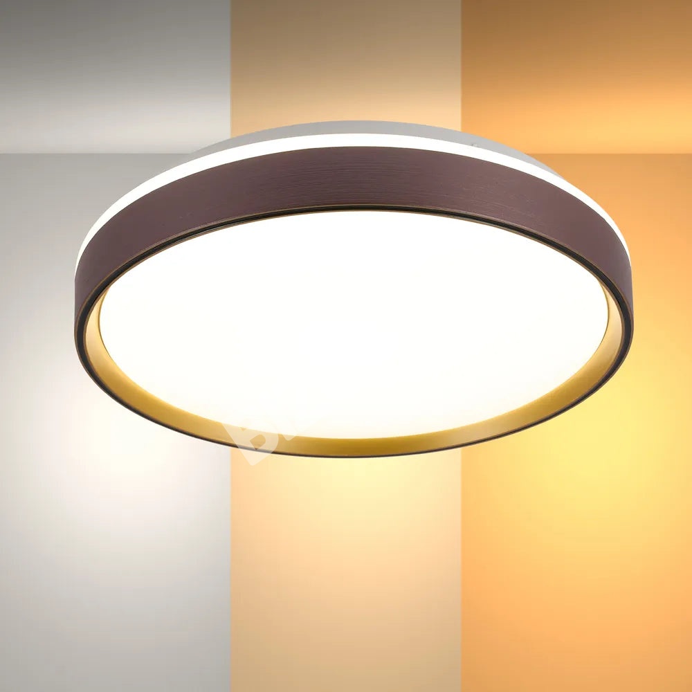 Светильник LED потолочный Светильник LUCE-400 30Wx2 фиолетовый золотой D4, 165-16012