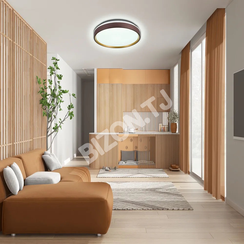 Светильник LED потолочный Светильник LUCE-400 30Wx2 фиолетовый золотой D4, 165-16012 2