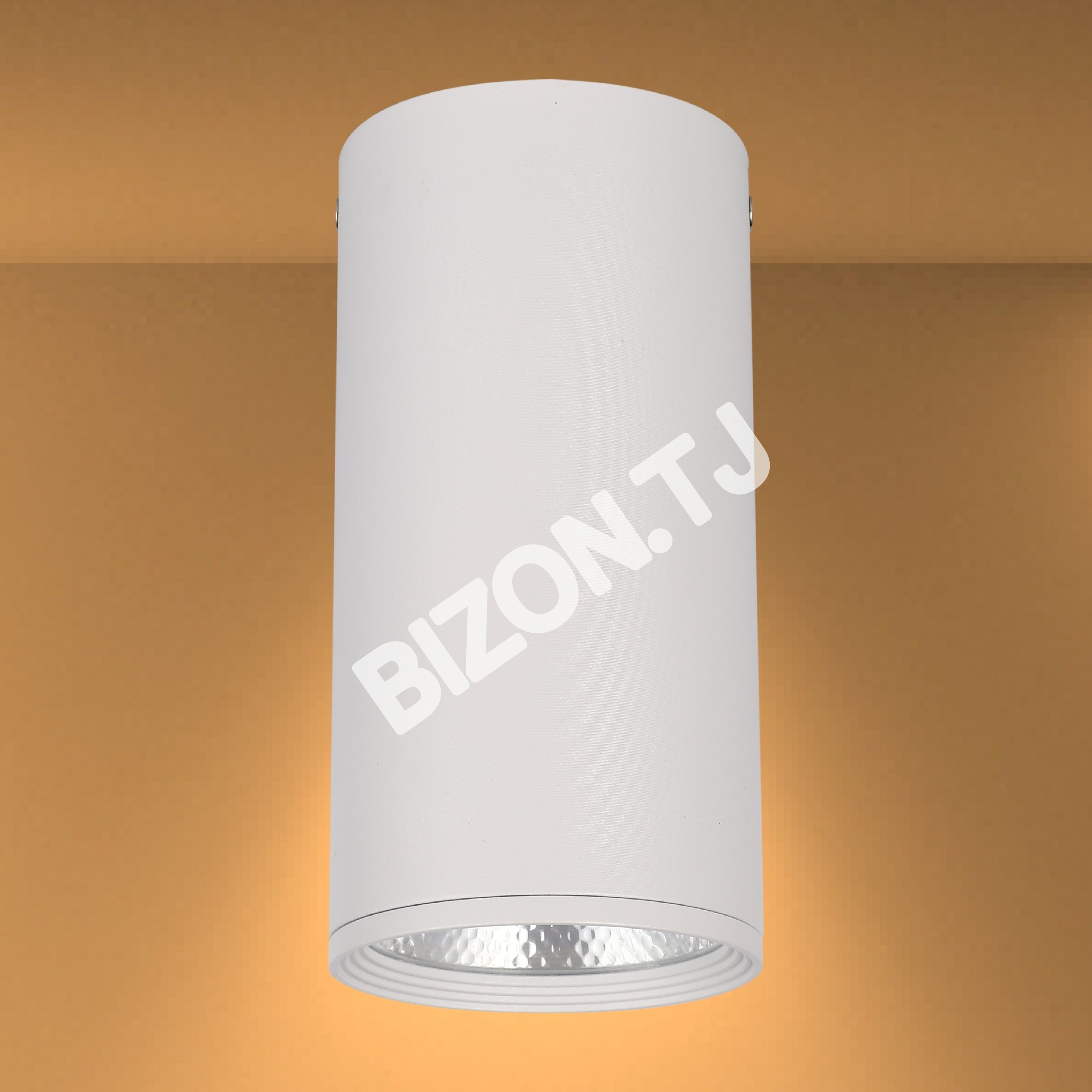 Светильник LED MOND COB 20 Вт 4000 К WH, 172-03010