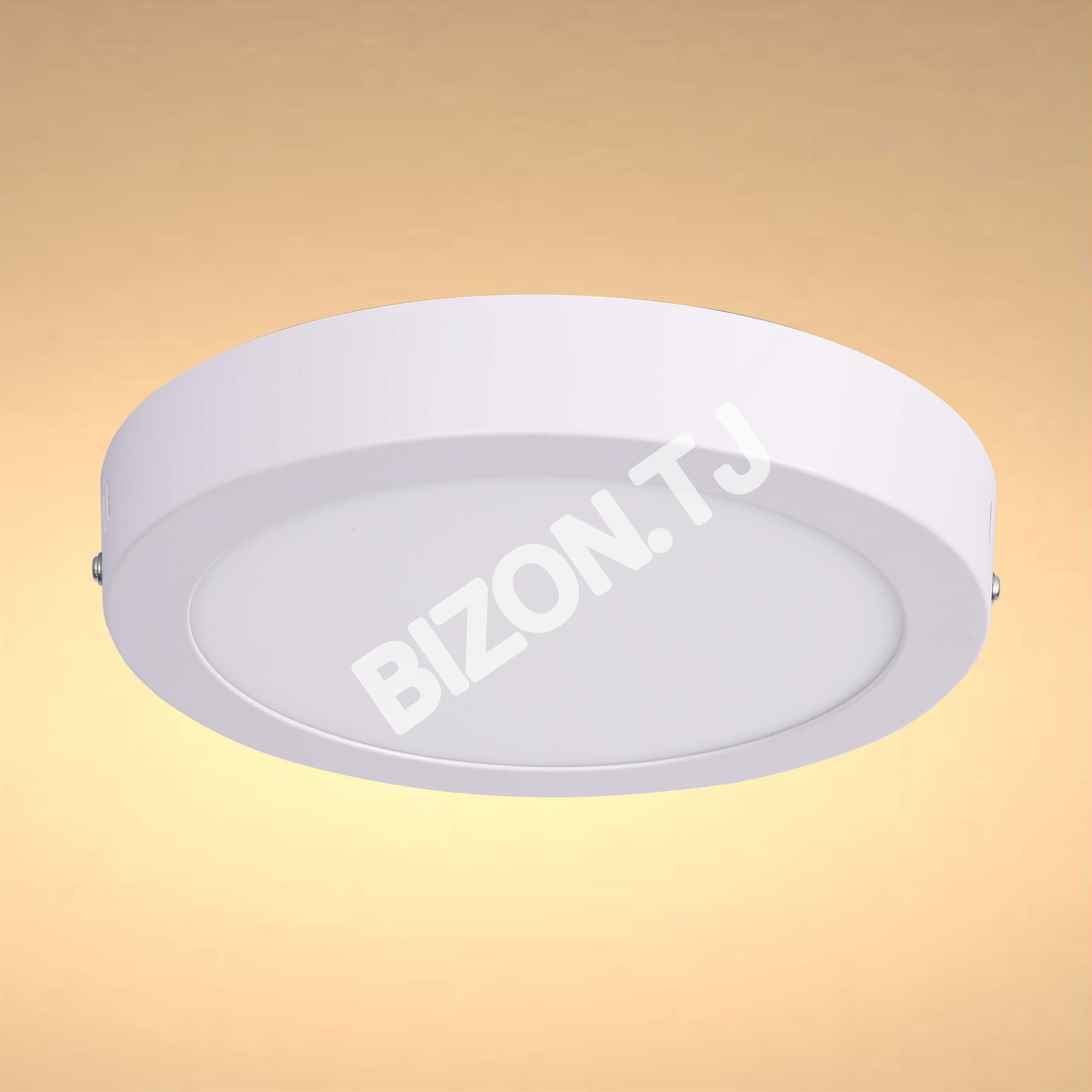 Светильник-панель PL LED круглый панель 12 Вт S / U 4000K30, 165-03951 9