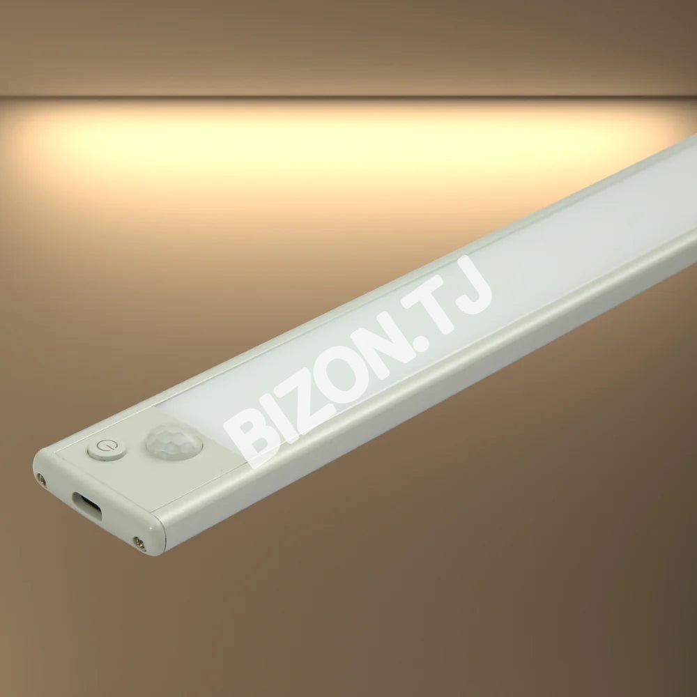 C2131-60 2 Вт 4000 К 40 см DIMM (Rechargeable Battery, 116-03333 10