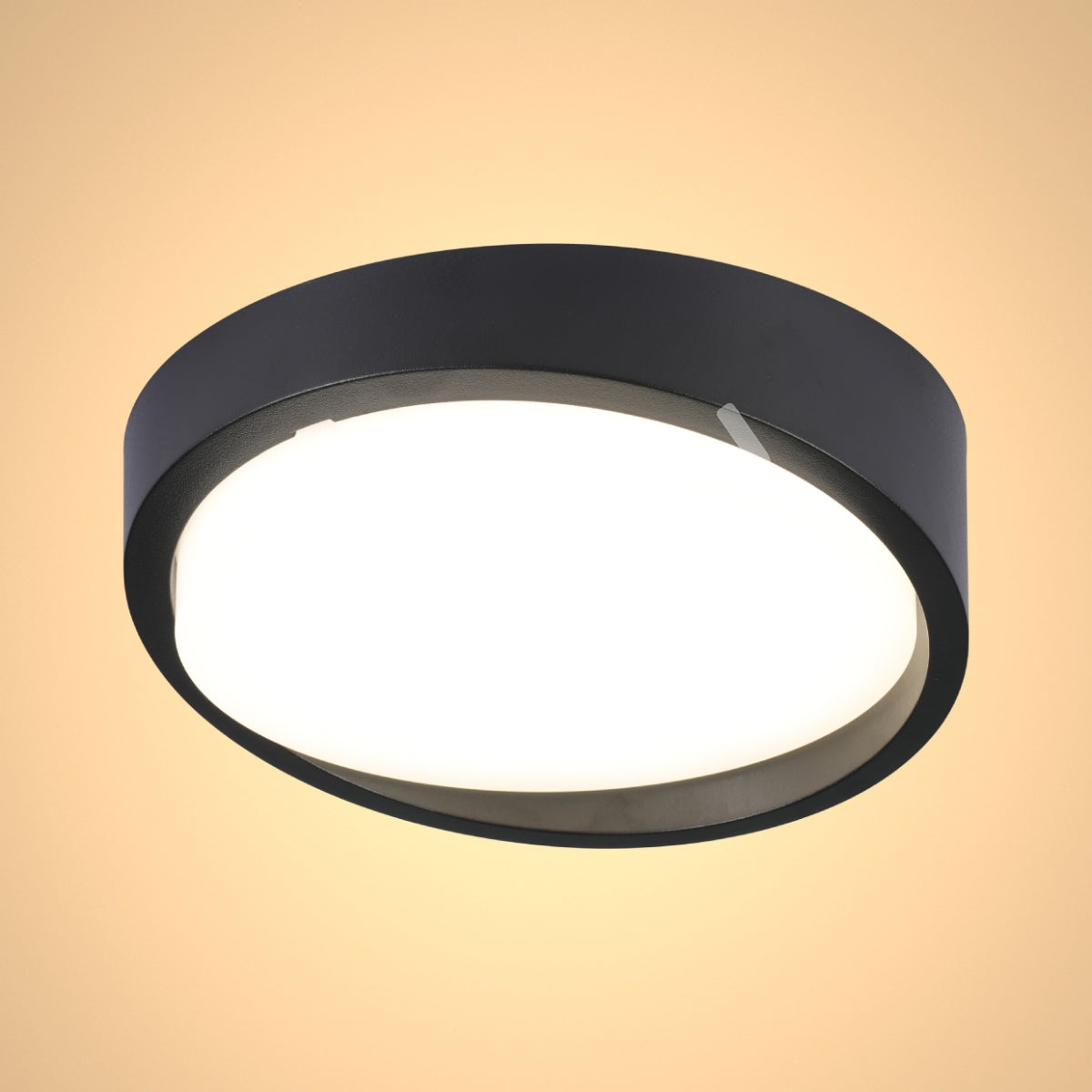 Светильник круглый LED FK500 18 Вт черный 4000 К IP65, 181-15365 8