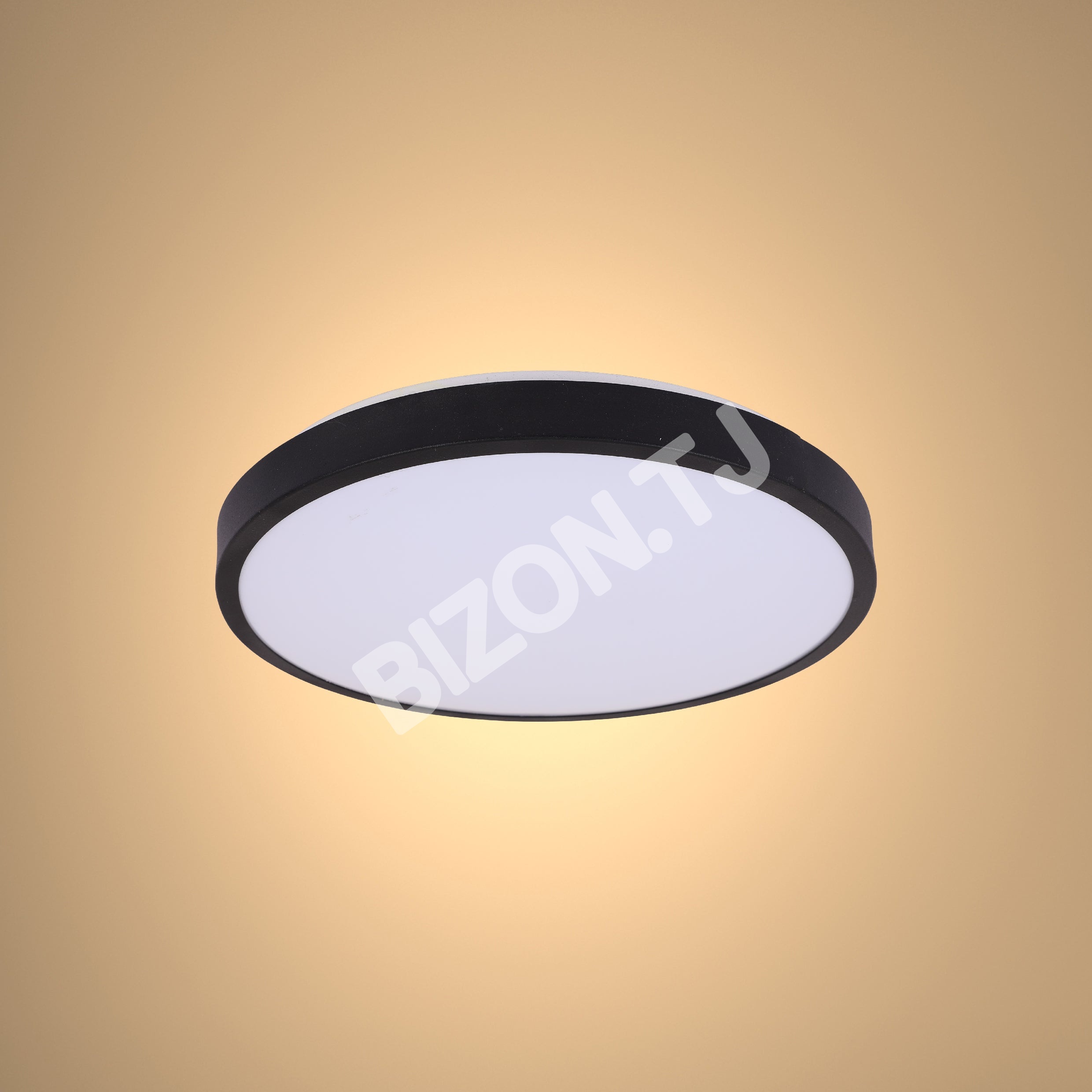 Светильник LED BELLA-рамка 24 Вт черный 6000 К, 118-03242 3