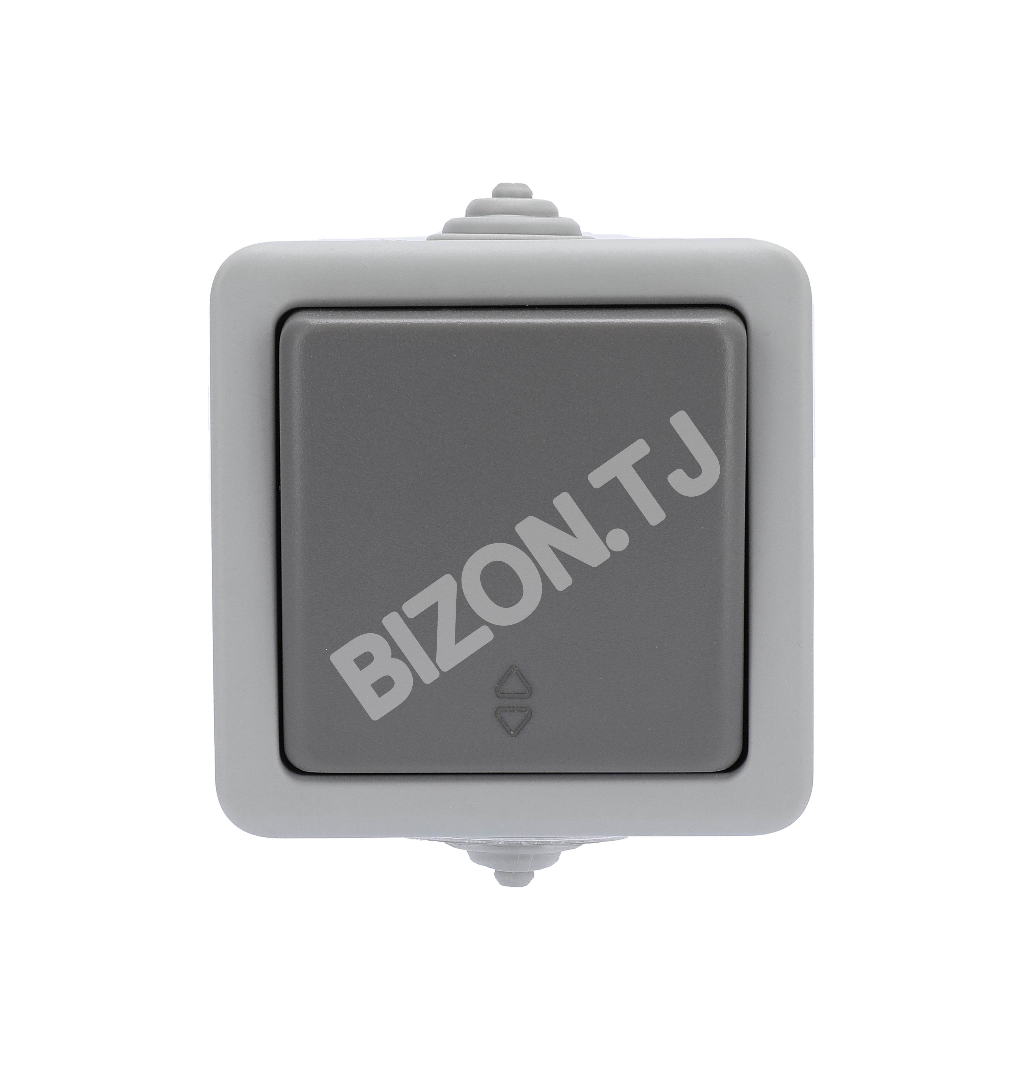 Переключатель 1 кл., о / у, 10А, IP54, серый, серия Atlantis100 / 10, 379-03004