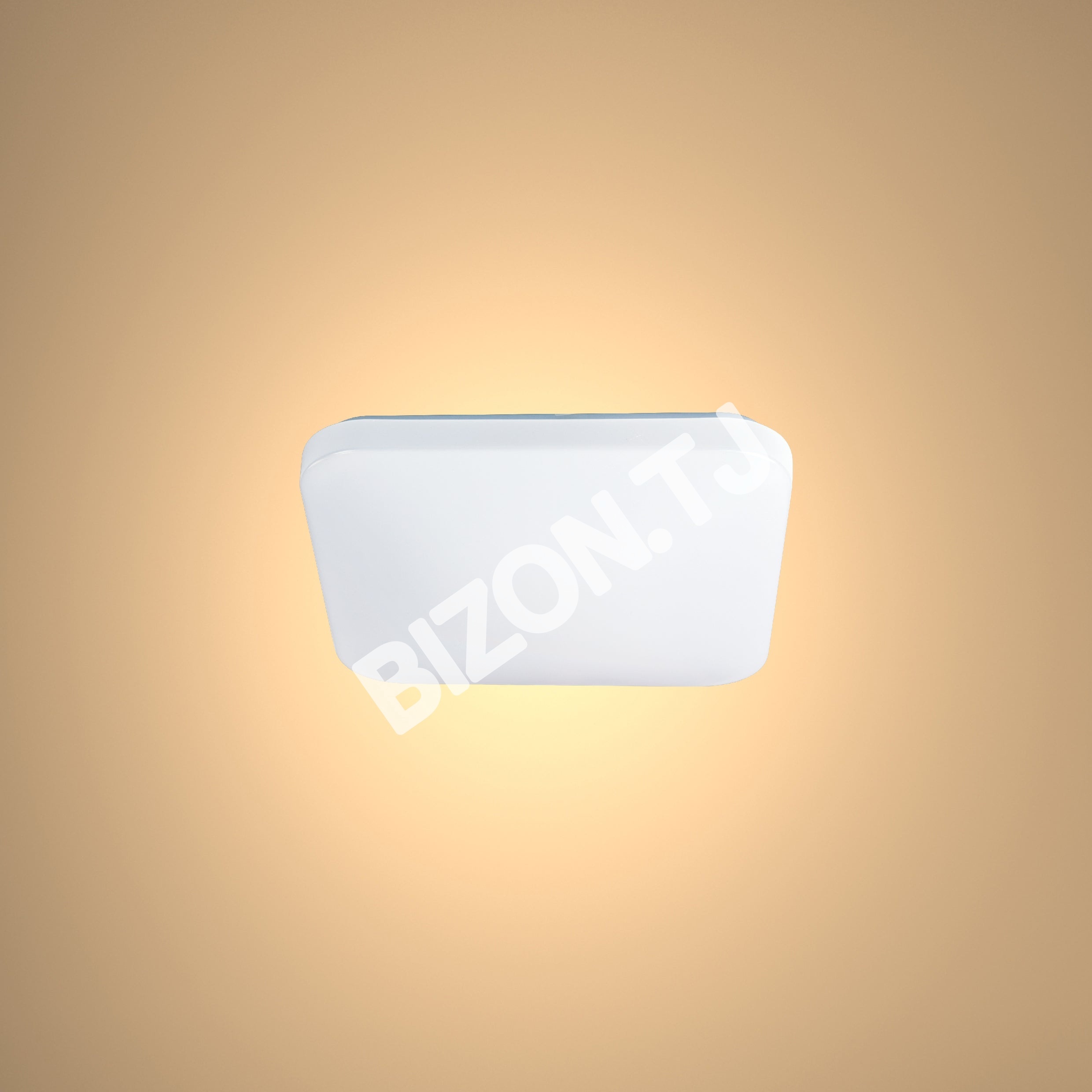Светильник LED RIO 48 Вт новинка 4000 К, 118-033680 2