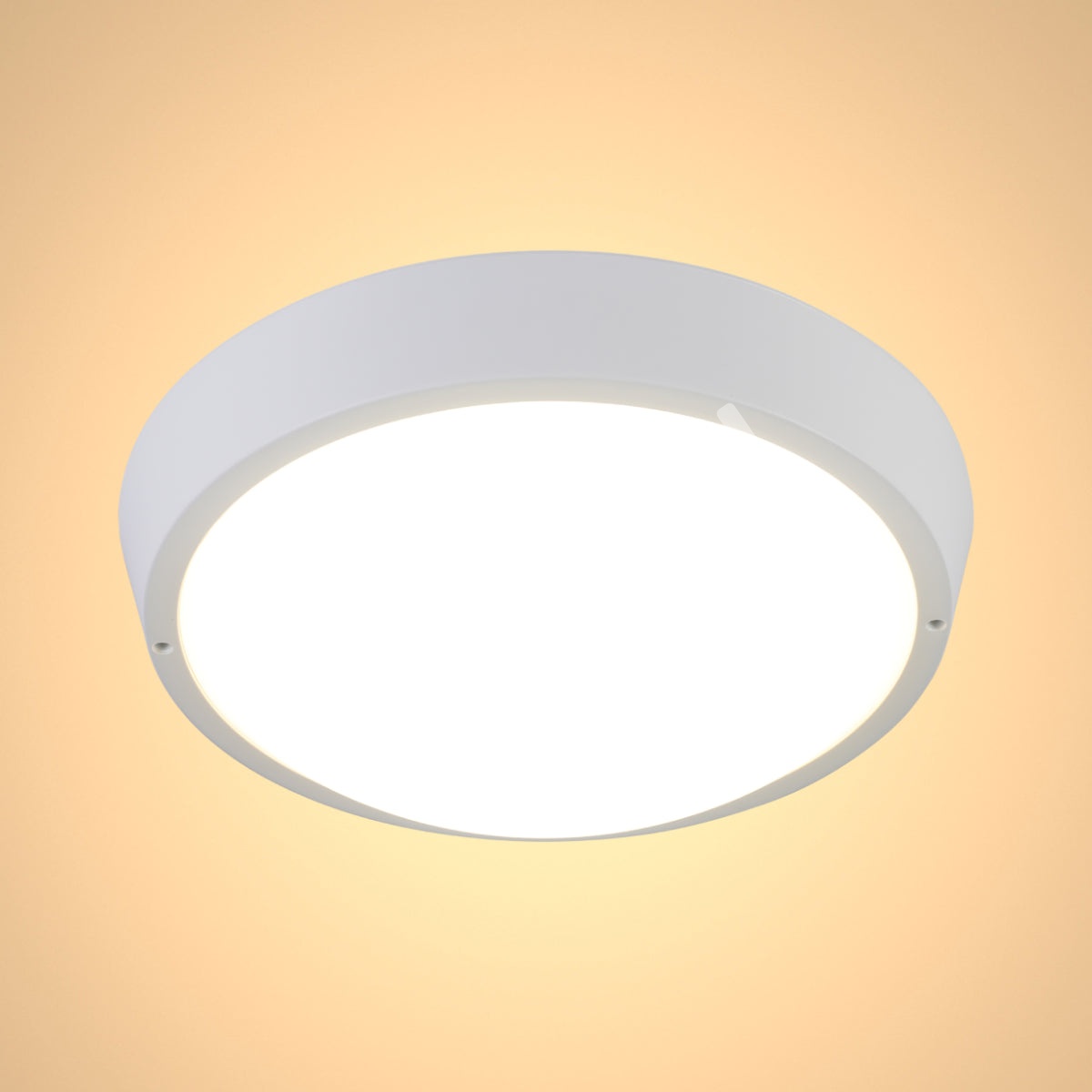 Светильник Oval LED FDD200 15 Вт белый 4000 К IP65, 181-15363 9
